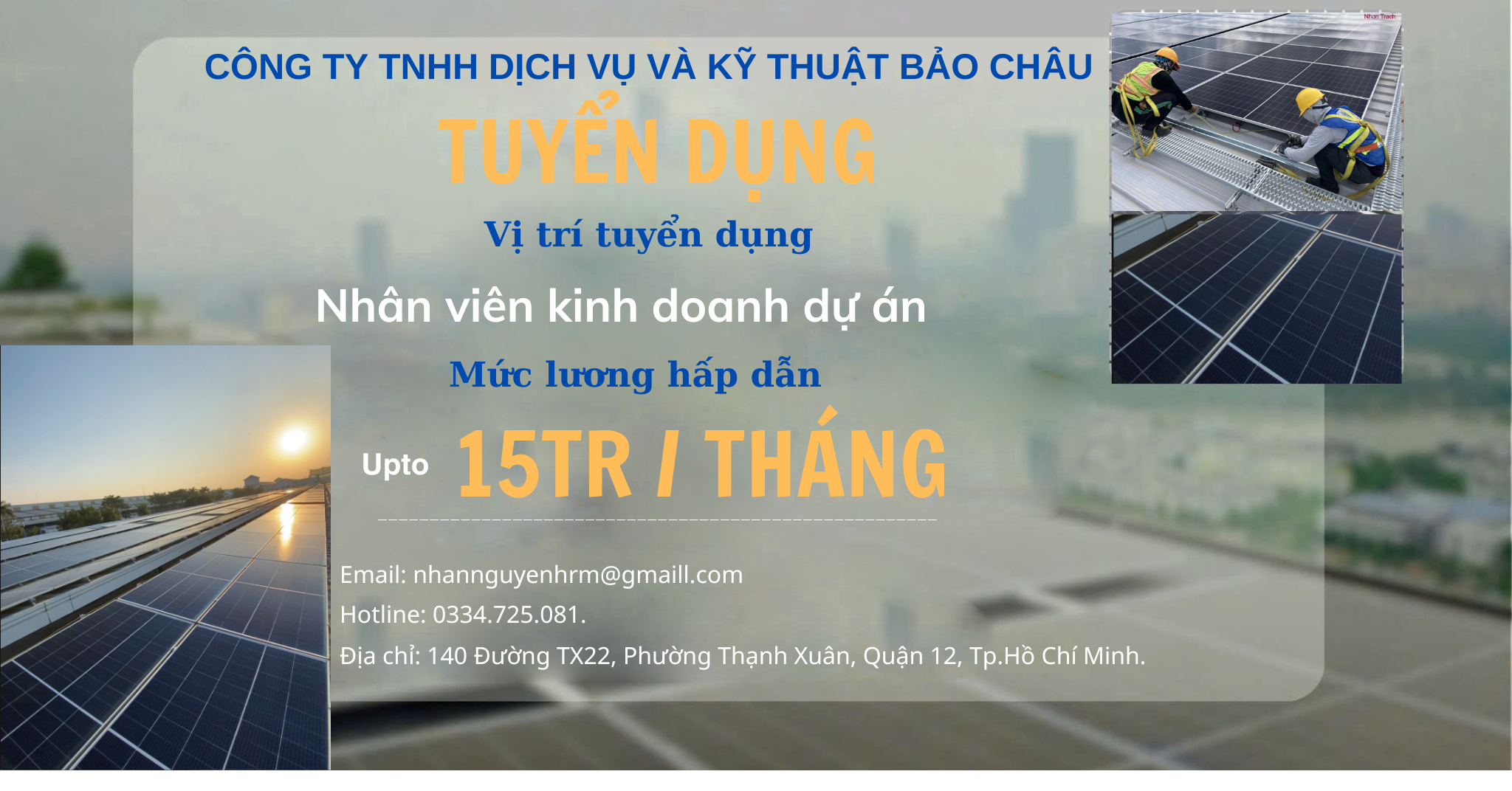 lĩnh vực hoạt động